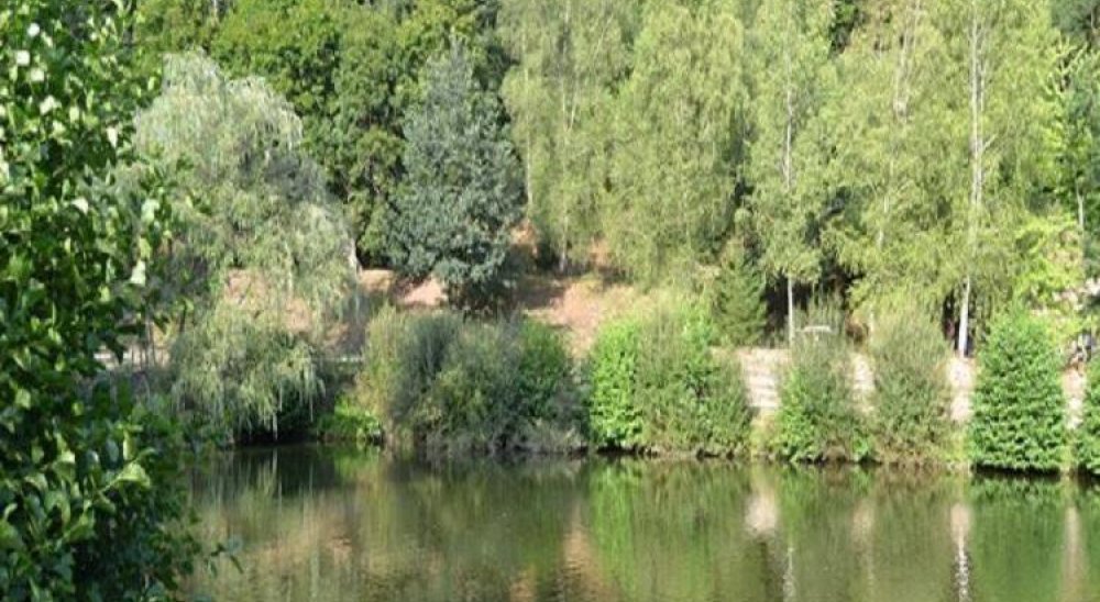 immagine slideshow