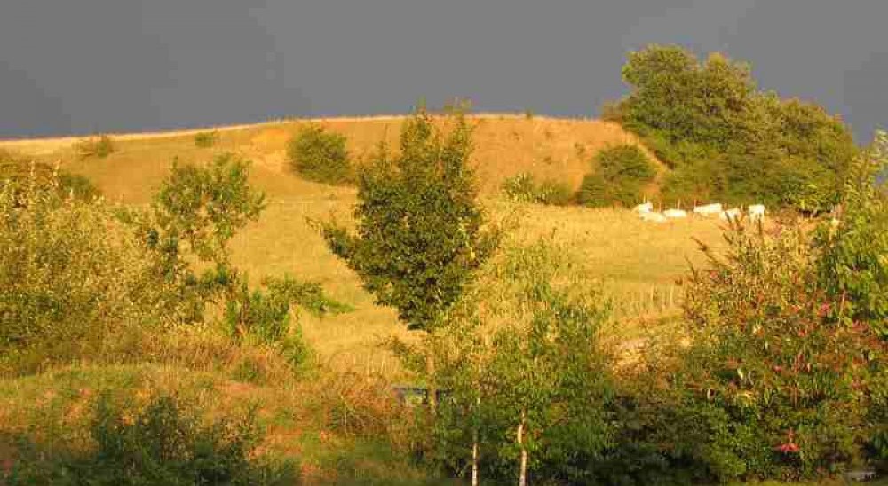 slideshow image