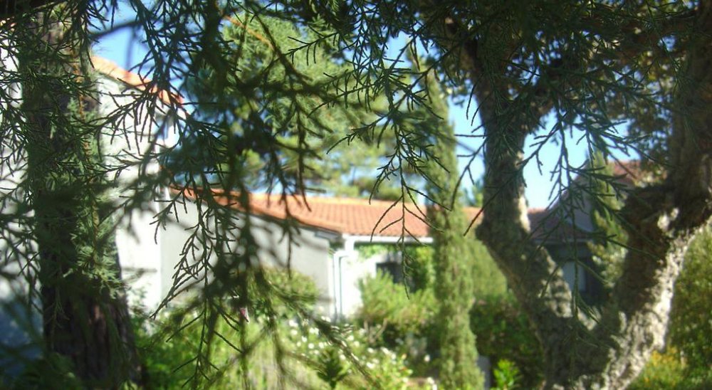 image diaporama