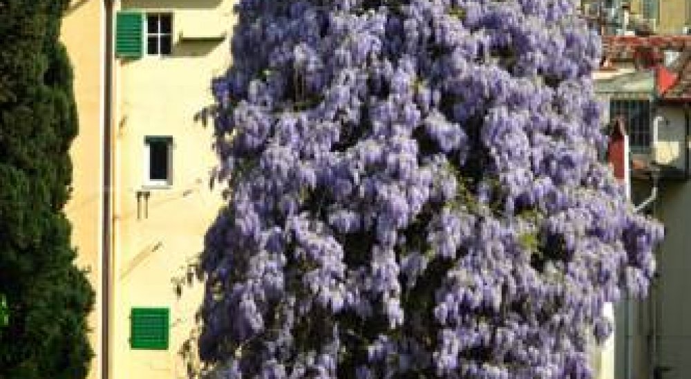 image diaporama