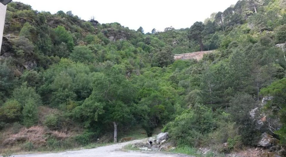 imagen del diaporama