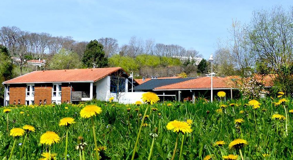 slideshow image