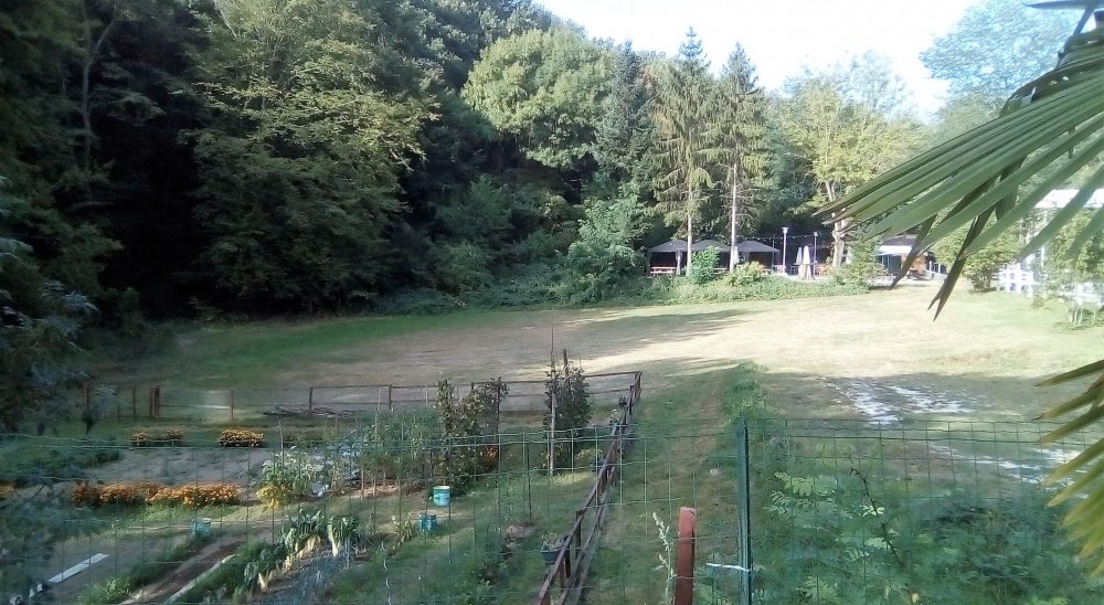 immagine slideshow