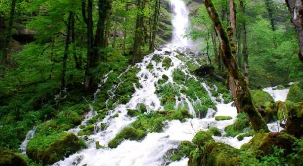 immagine slideshow