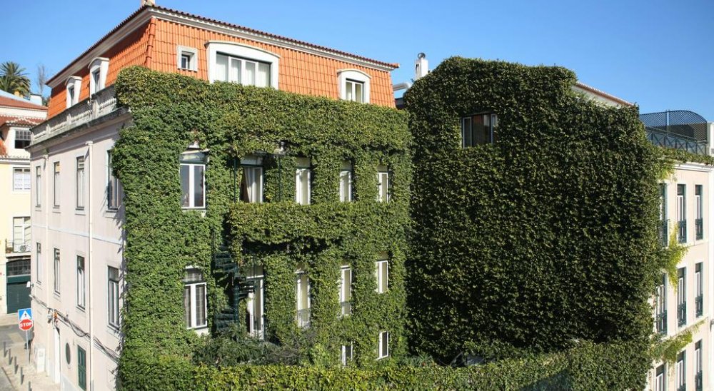 immagine slideshow