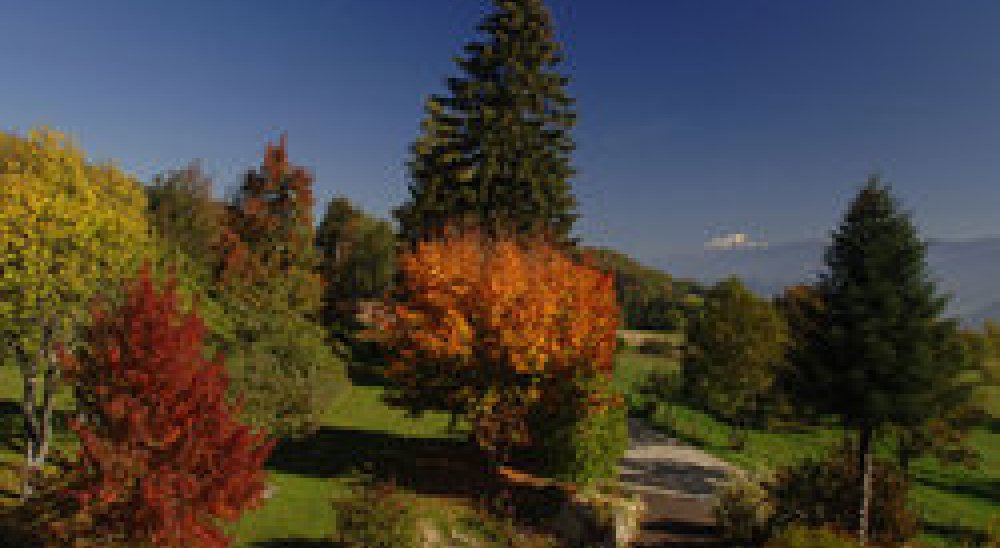 image diaporama