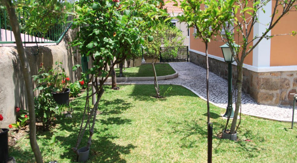 imagen del diaporama