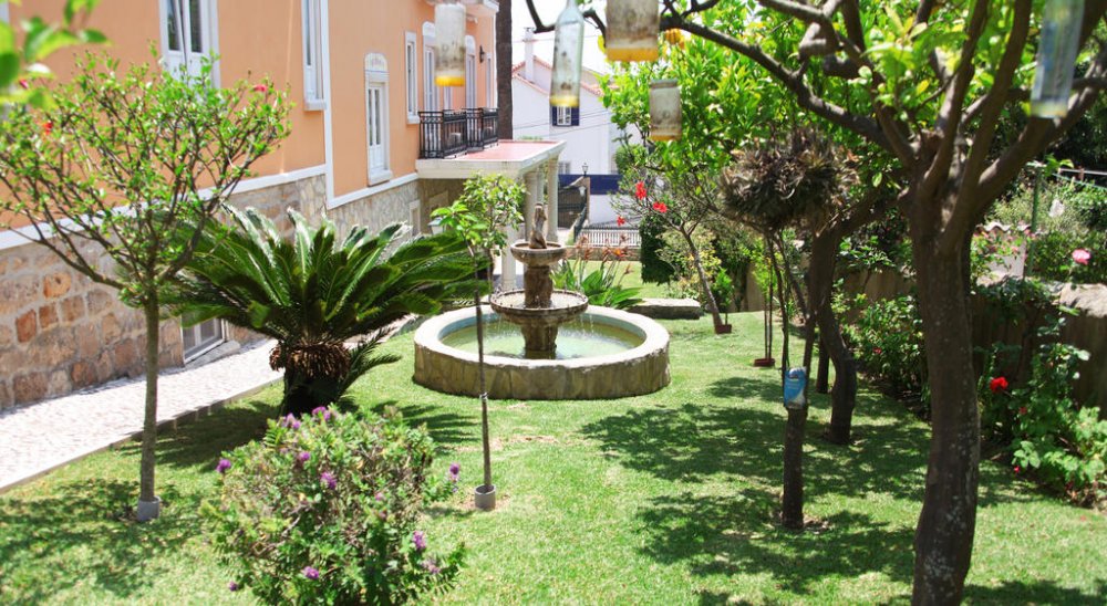 imagen del diaporama