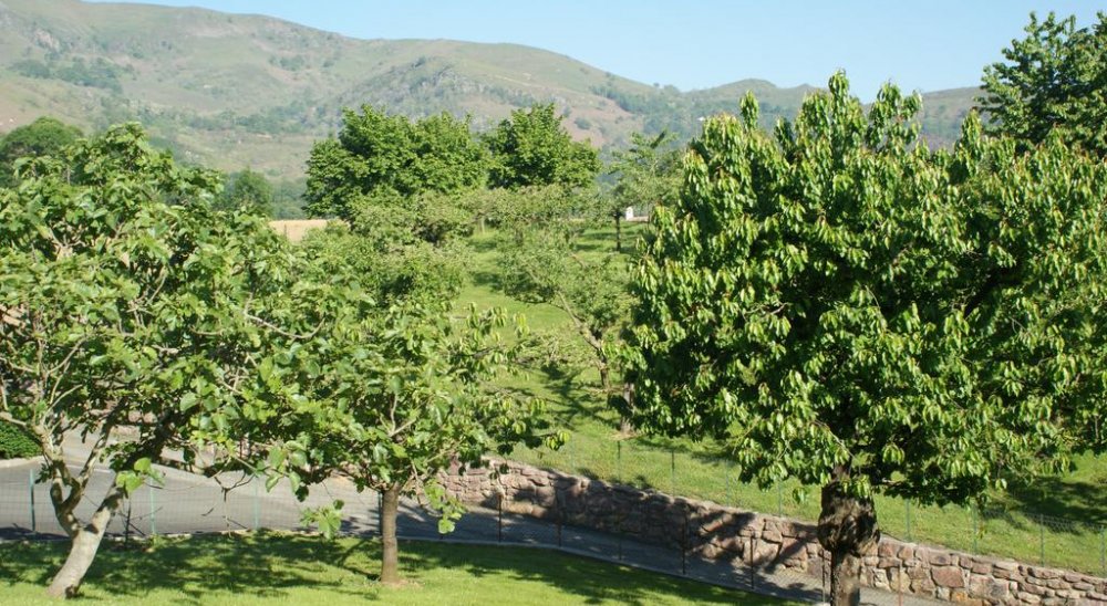 image diaporama
