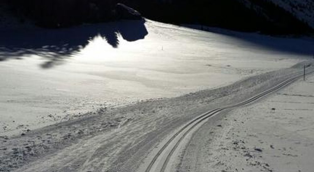 immagine slideshow