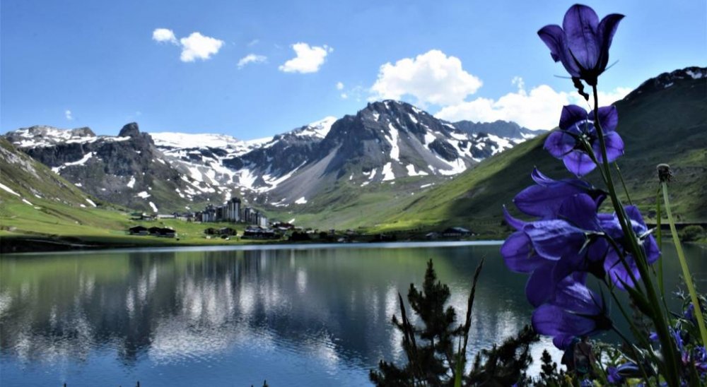 image diaporama