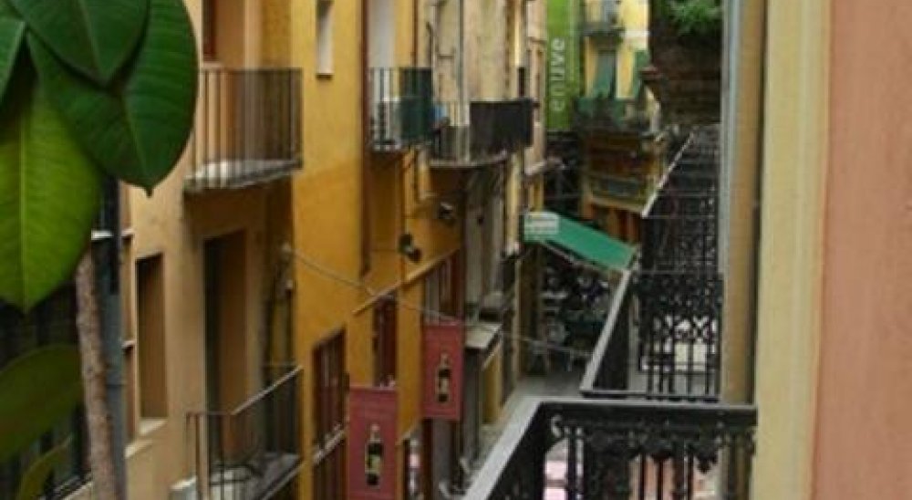 immagine slideshow