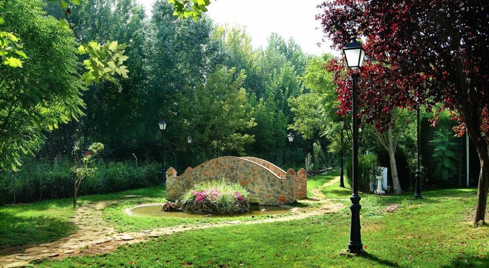 imagen del diaporama