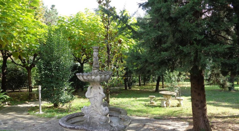 image diaporama