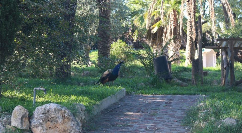 slideshow image
