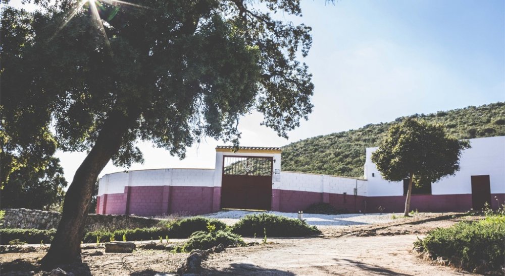 imagen del diaporama