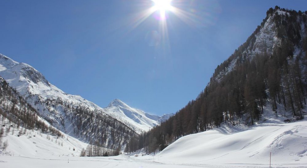 immagine slideshow