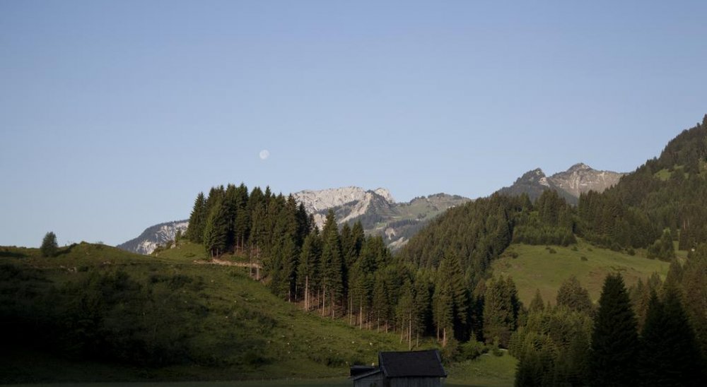 immagine slideshow