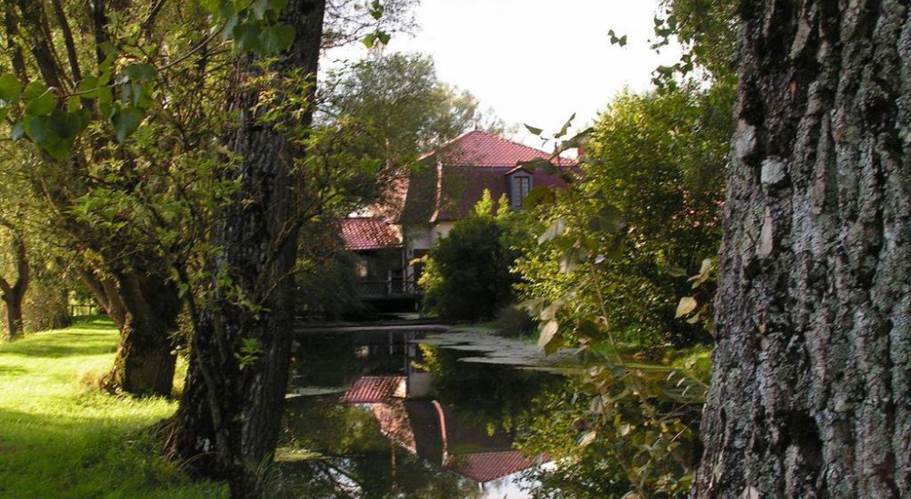 image diaporama