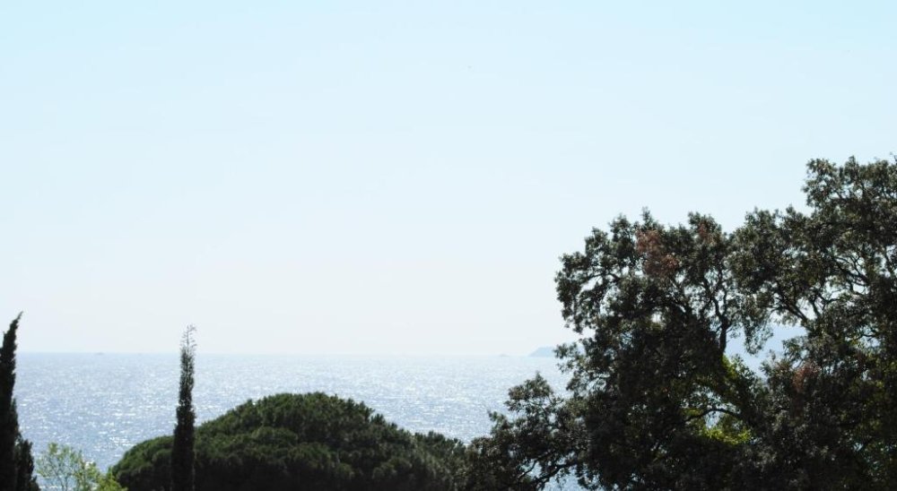 immagine slideshow