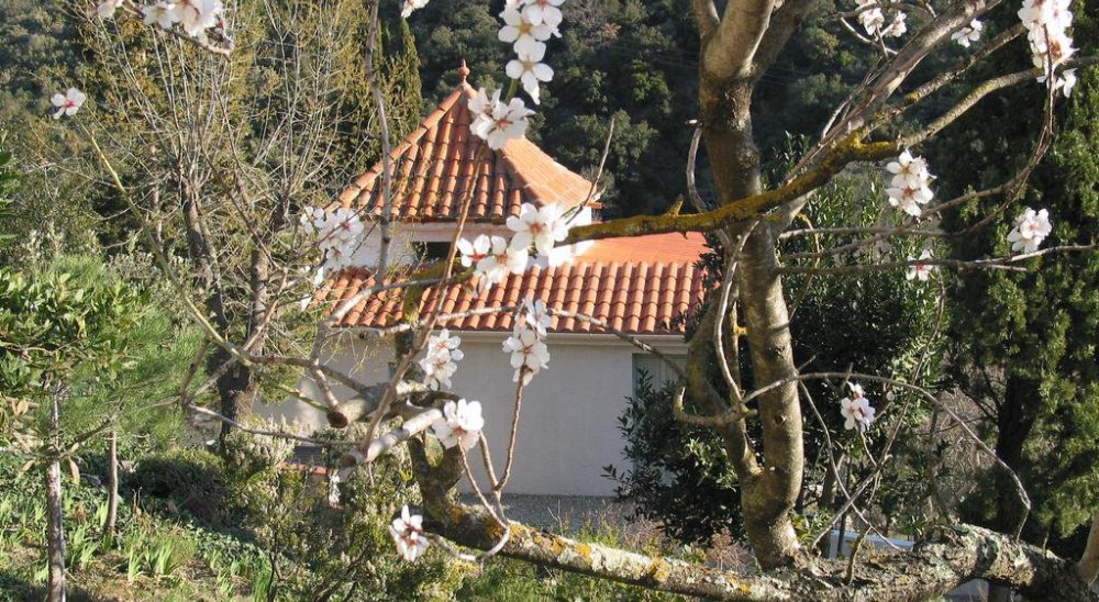 immagine slideshow