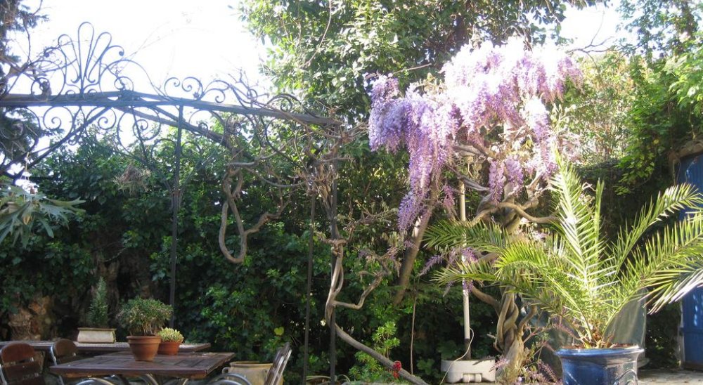 image diaporama