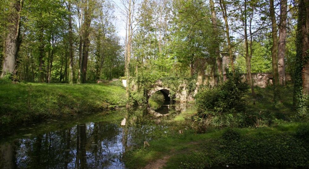 immagine slideshow