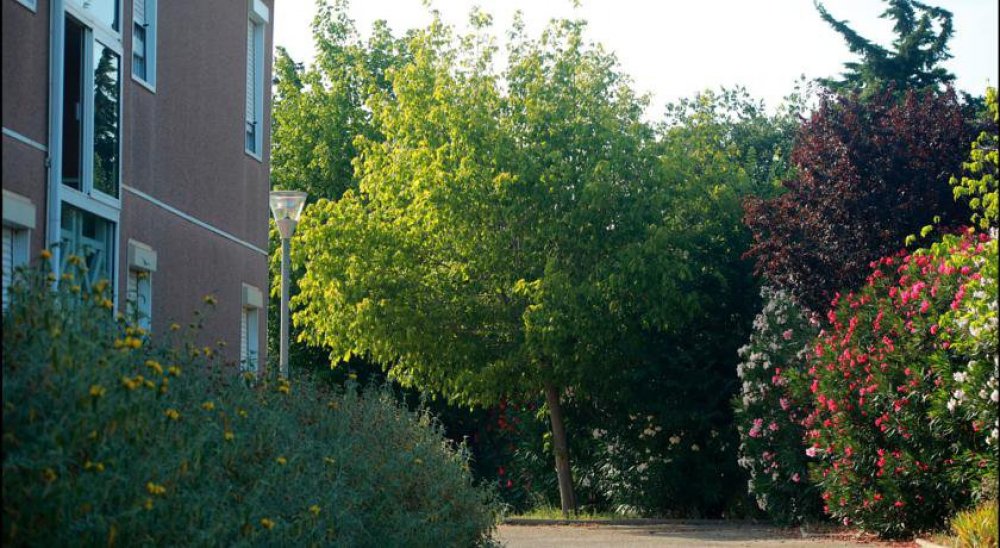 image diaporama