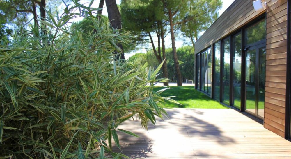 immagine slideshow