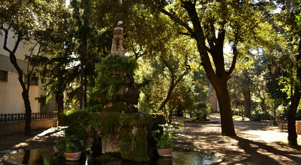 imagen del diaporama